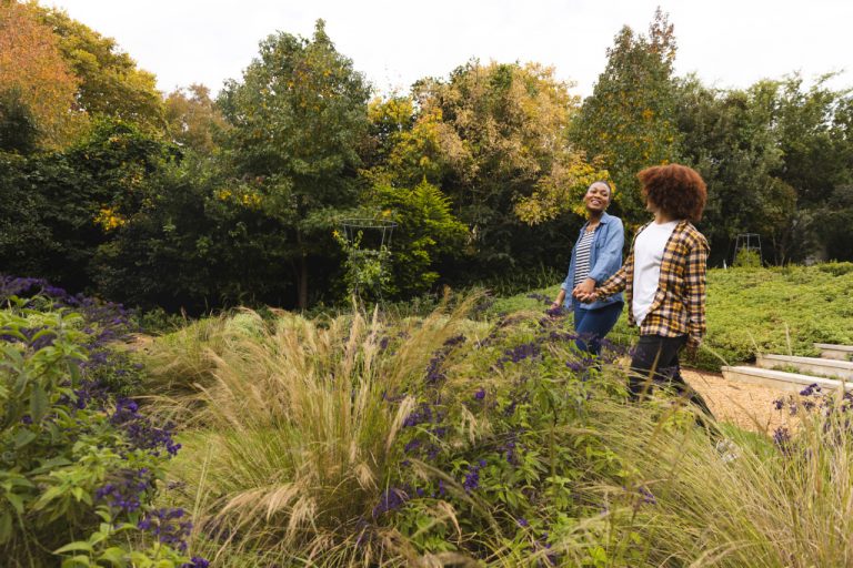 Top 10 Plants Every Garden Designer Should Know